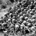 skulls
